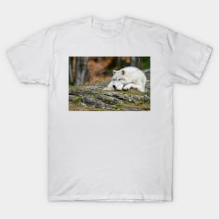 Arctic Wolf T-Shirt